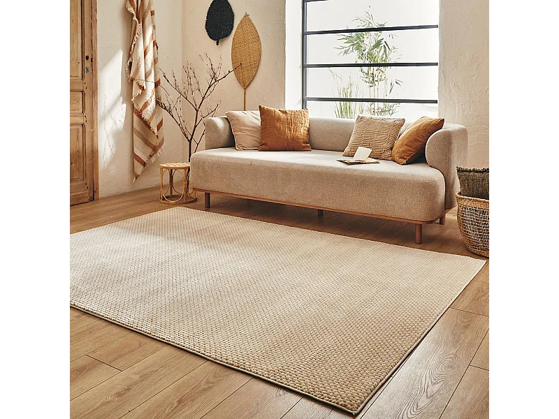 tapis entrée 80x150 tissé crème et beige rectangle motif faux uni LUNKIN 6