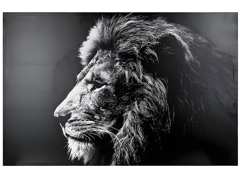 Toile Imprimée "Lion" 78x118cm Noir & Blanc