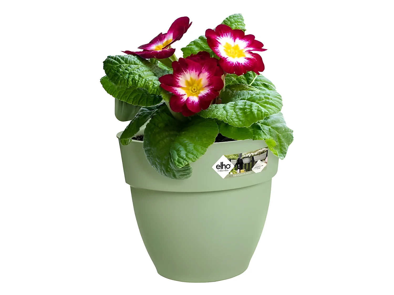 Pot de fleurs - Vibia Campana Easy Hanger Small - Vert Pistache - Balcon extérieur - L 24.1 x W 20.5 x H 26.5 cm
