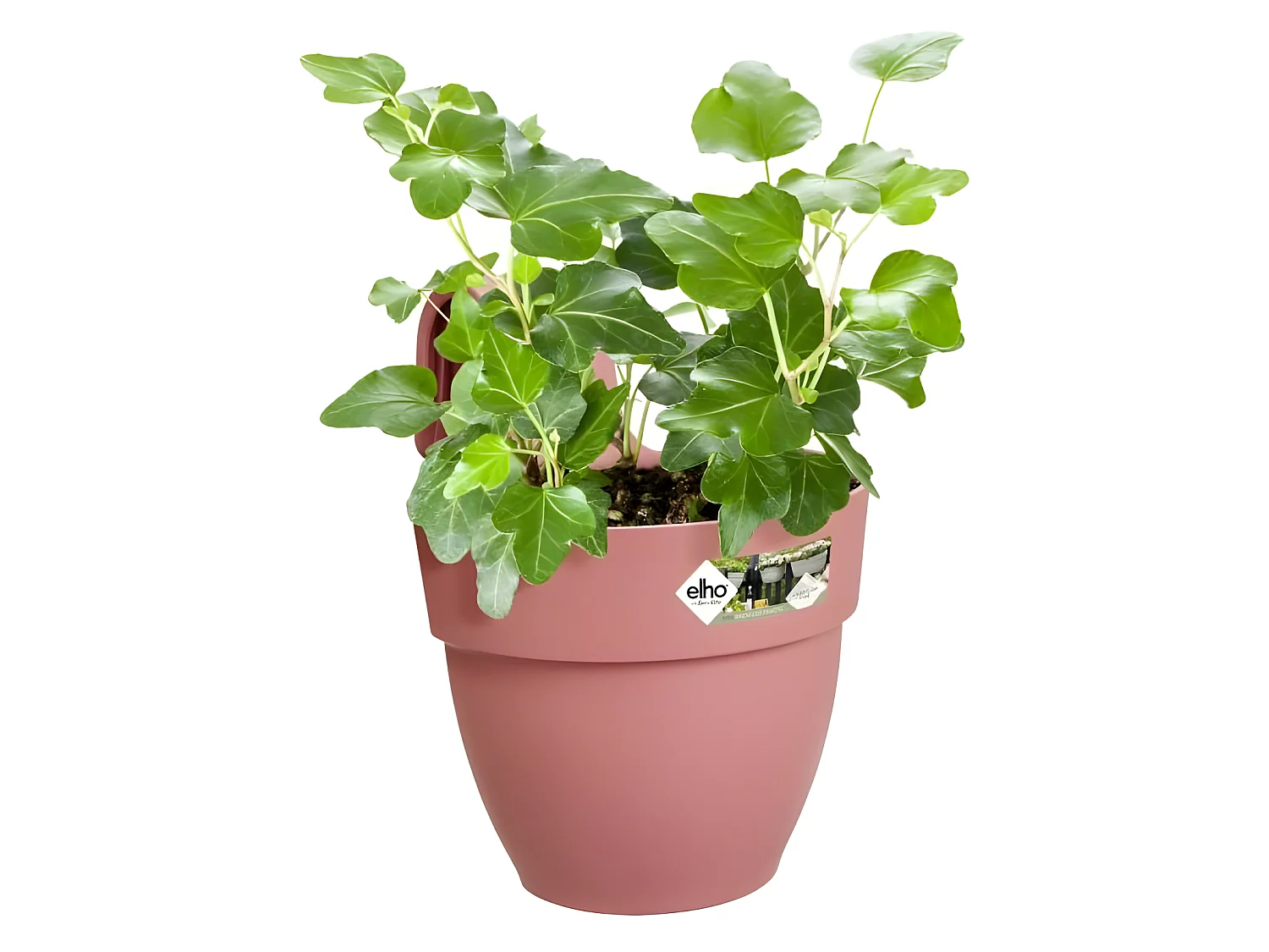 Pot de fleurs - Vibia Campana Easy Hanger Small - Rose Poussiere - Balcon extérieur - L 24.1 x W 20.5 x H 26.5 cm