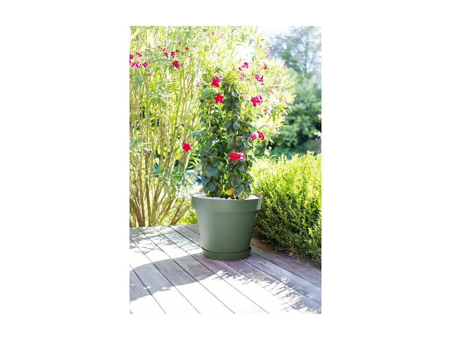 Pot de fleurs rond Toscane Ø 48 x H.40 cm - Vert laurier - Eda