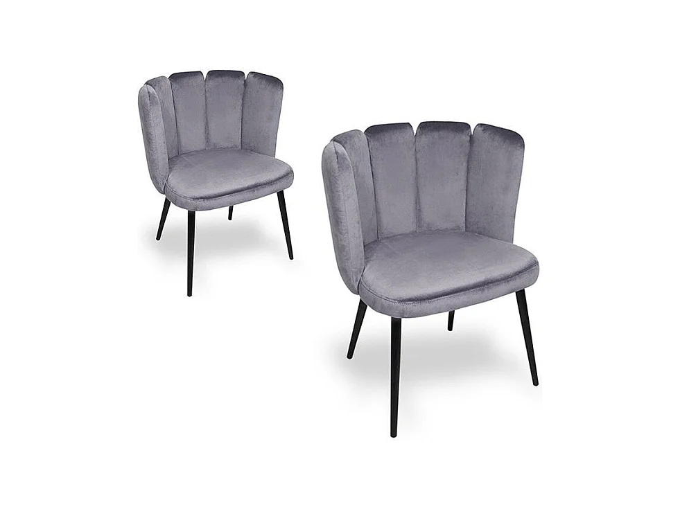 Chaise De Salle À Manger X2 Belair - Couleurs - Gris