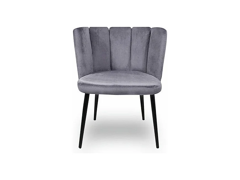 Chaise De Salle À Manger X2 Belair - Couleurs - Gris