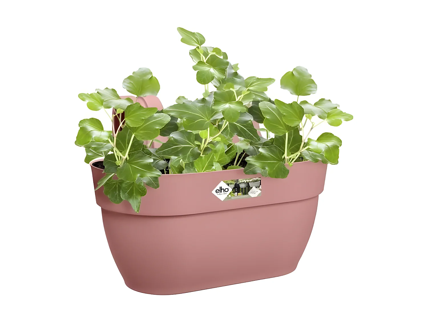 Maceta colgante Vibia Campana Easy Hanger Medium - Rosa Polvo - Balcón exterior - L 24.1 x An 36 x Al 26.5 cm