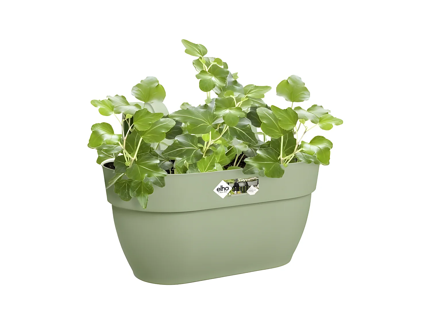 Pot de fleurs - Vibia Campana Easy Hanger Medium - Vert Pistache - Balcon extérieur - L 24.1 x W 36 x H 26.5 cm