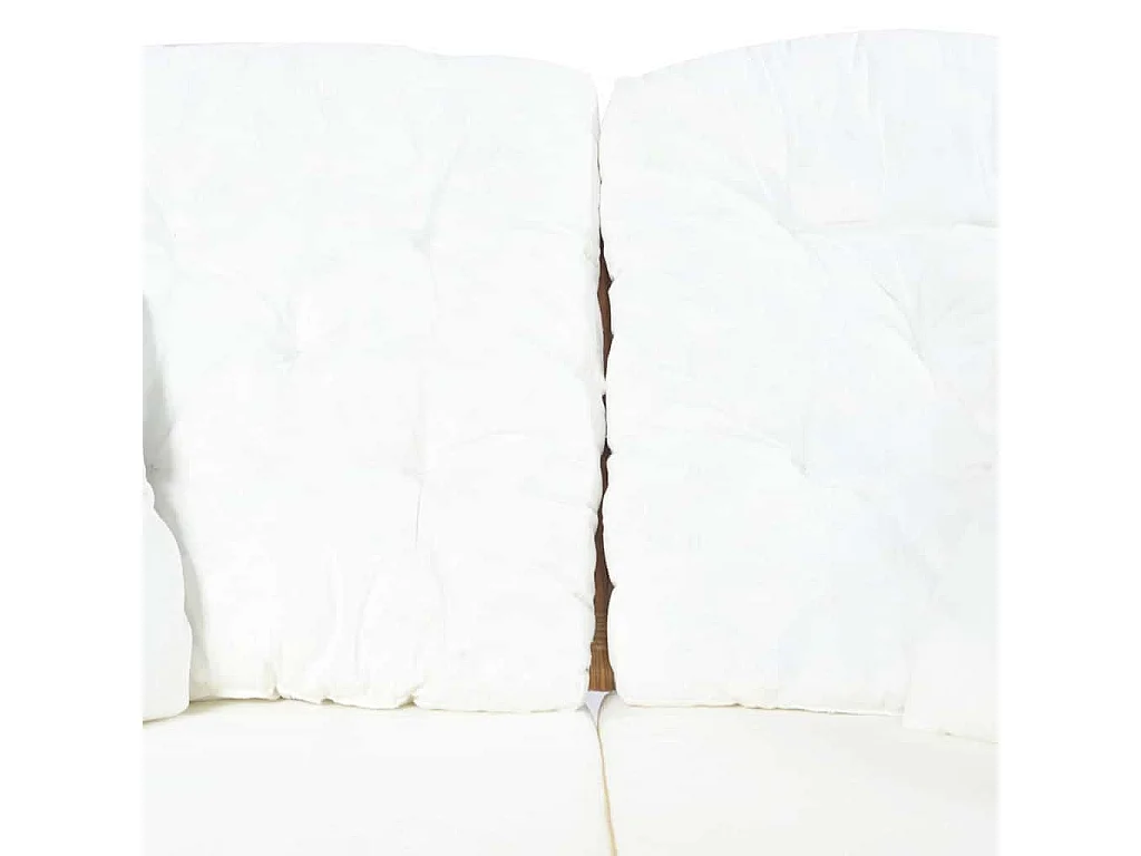 Canapé à 2 places Marron clair Rotin