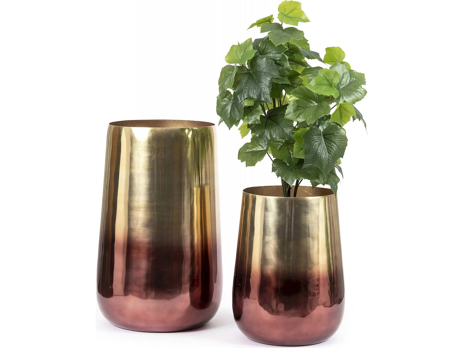 Jardinière Laiton Élégance Intérieure Bazar Bizar