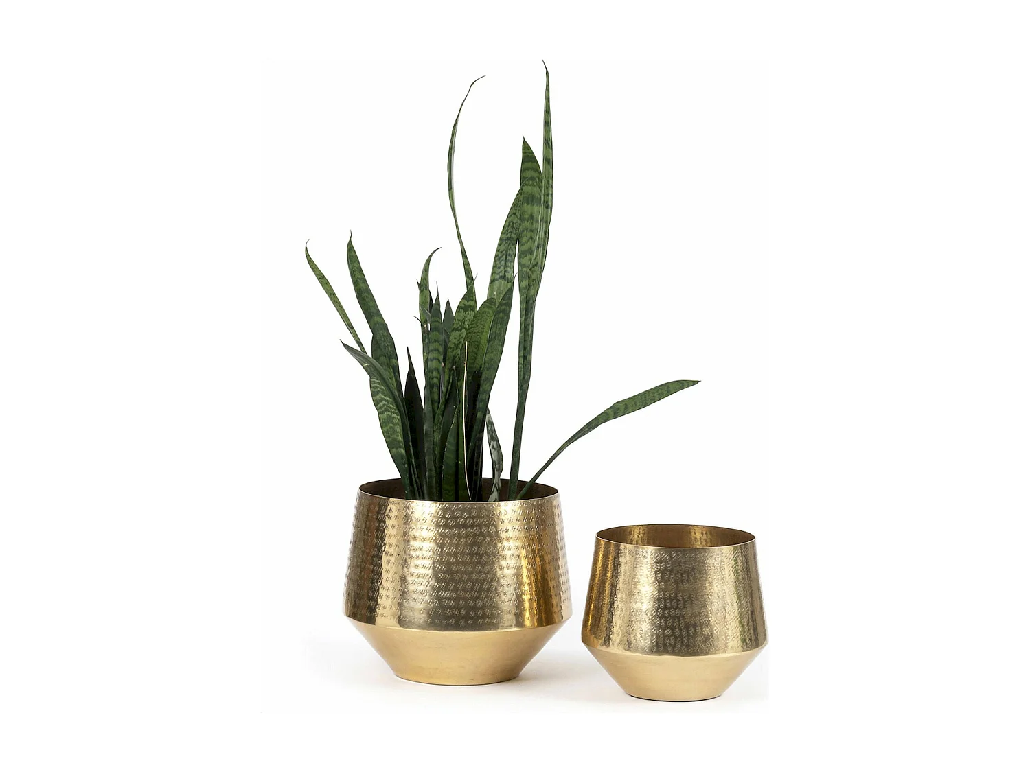 Jardinière élégance orientale Bazar Bizar