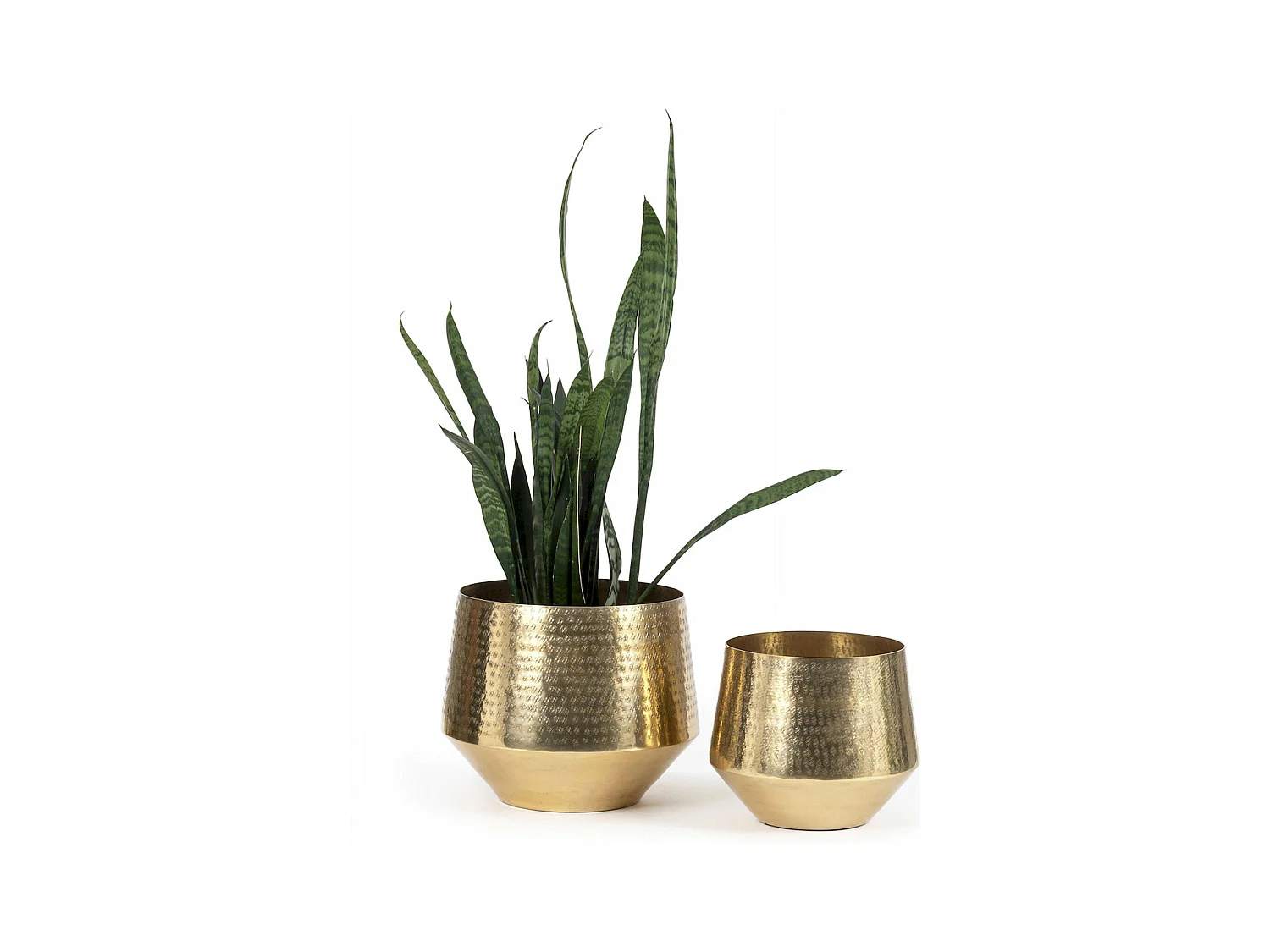 Jardinière élégance orientale Bazar Bizar