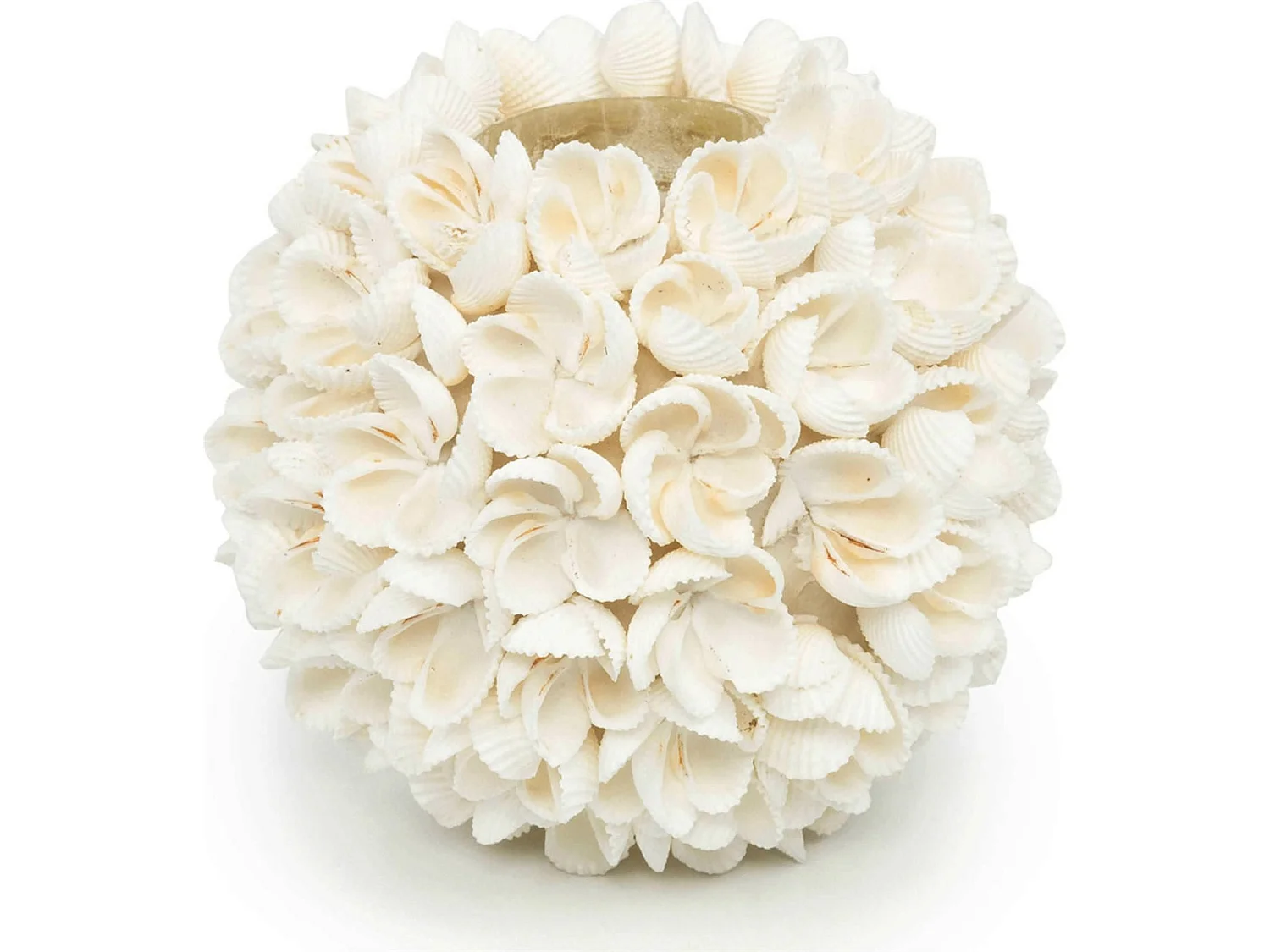 Fleur de coquillage Bougeoir Bazar Bizar