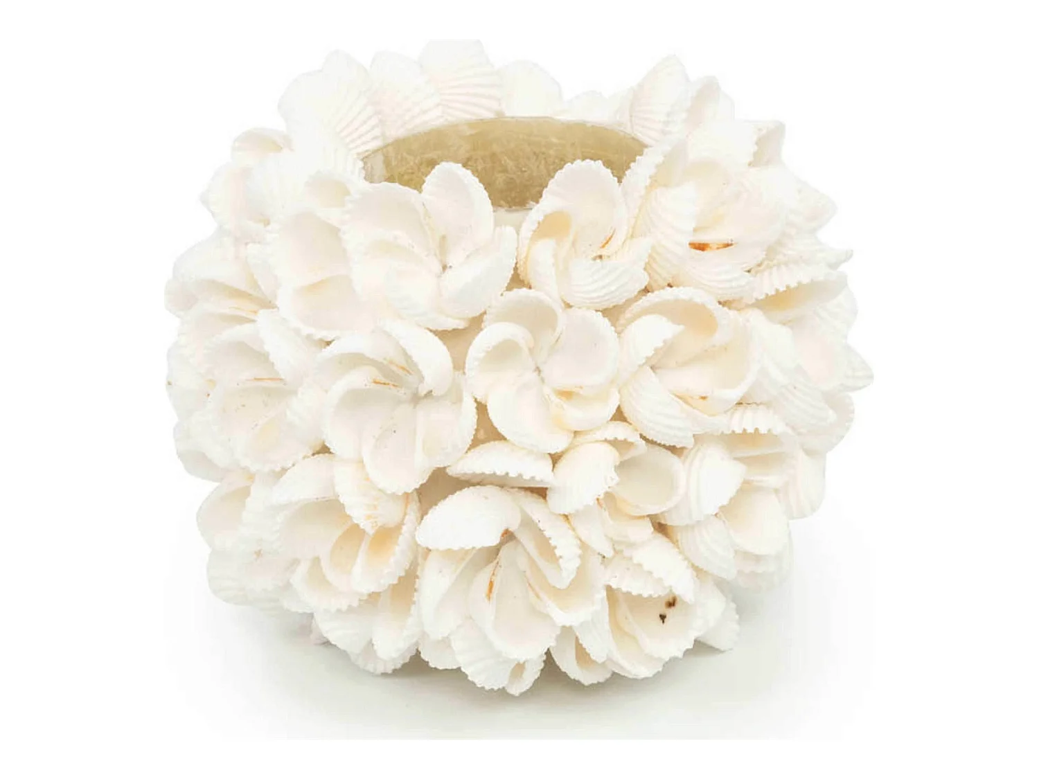 Photophore Flower Power Bazar Bizar en Coquille