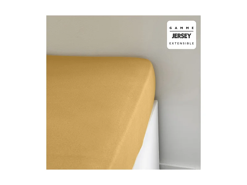 Drap-housse en jersey de coton. Ocre 90/105x200cm