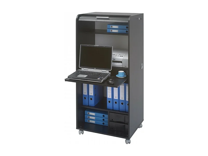 Armoire Informatique Mobile Noire 2 Tiroirs 5 Niches - Coloris: Bambous 912