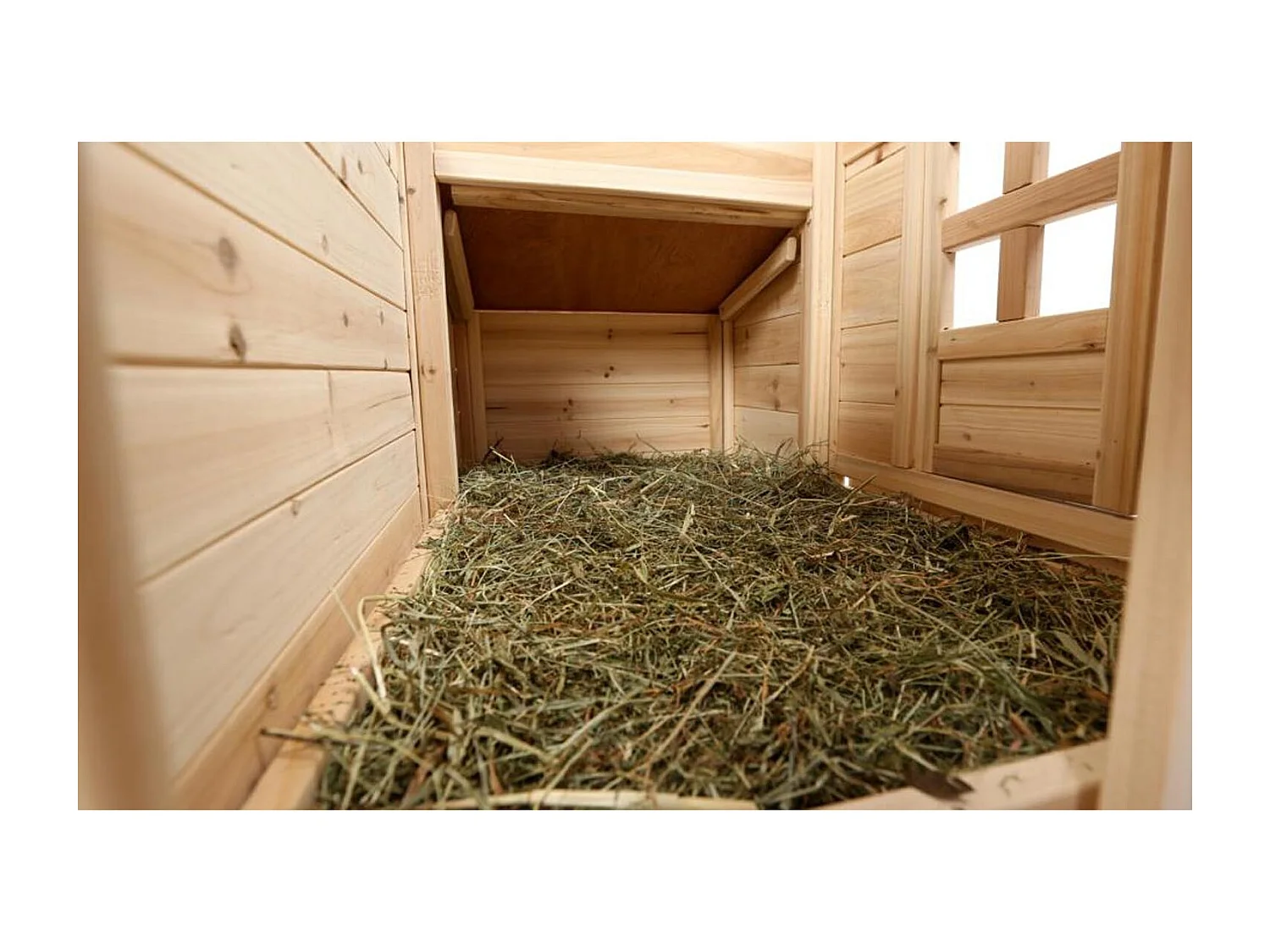 Poulailler avec 2 pondoirs GEORGETTE