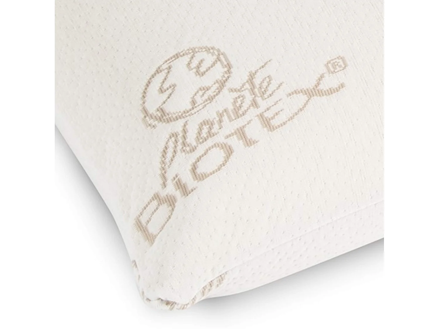 Oreiller mousse mémoire végétale 60x60 moelleux Biotex Maïa