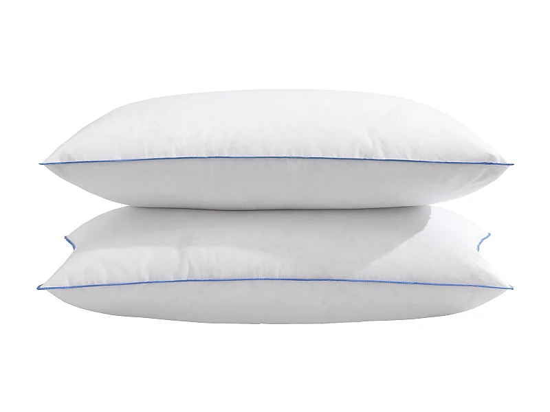 Lot de 2 oreillers moelleux duvet de canard anti-allergènes Someo 45x70