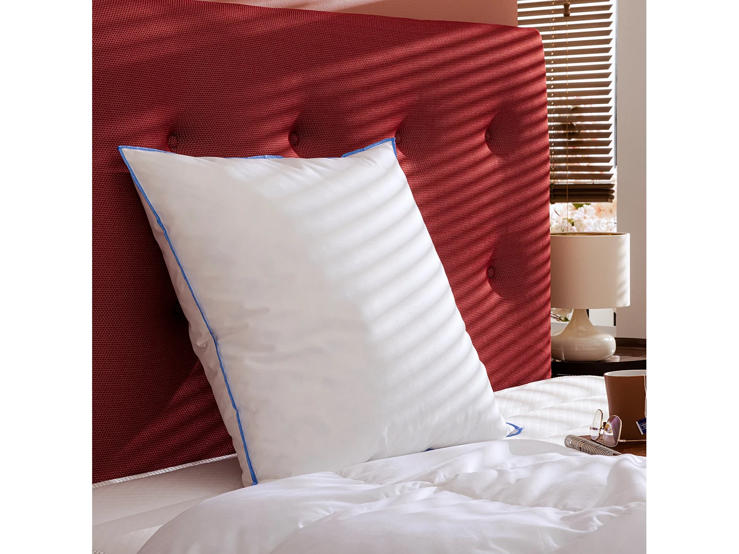 Oreiller moelleux duvet de canard anti-allergènes Someo 65x65