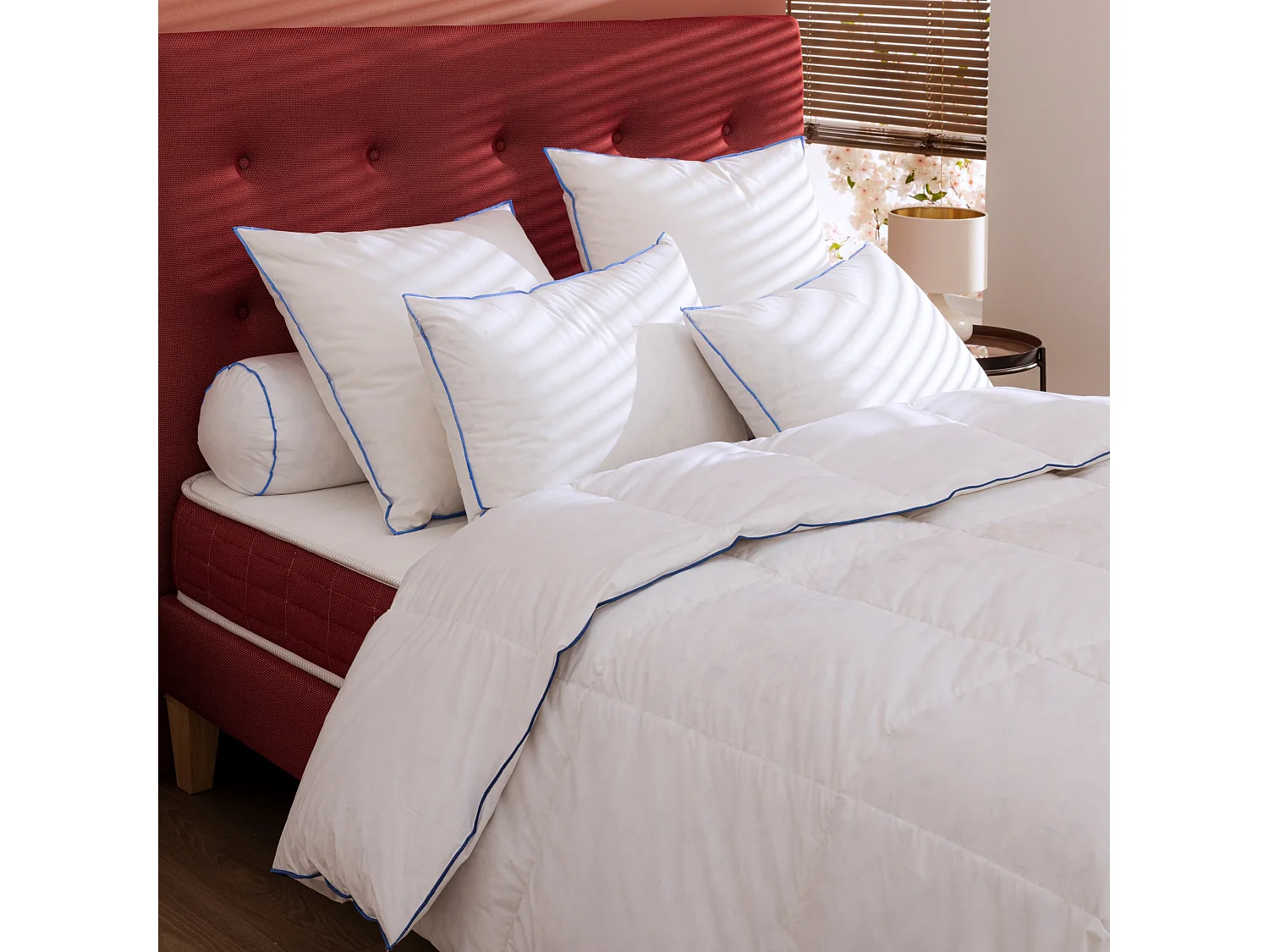 Oreiller moelleux duvet de canard anti-allergènes Someo 65x65