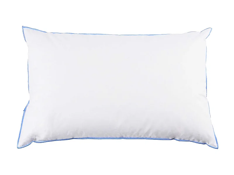 Oreiller moelleux duvet de canard anti-allergènes Someo 45x70