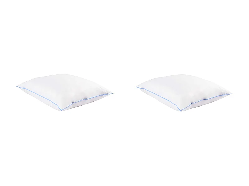 Lot de 2 oreillers moelleux/ferme duvet de canard anti-allergènes Someo 60x60