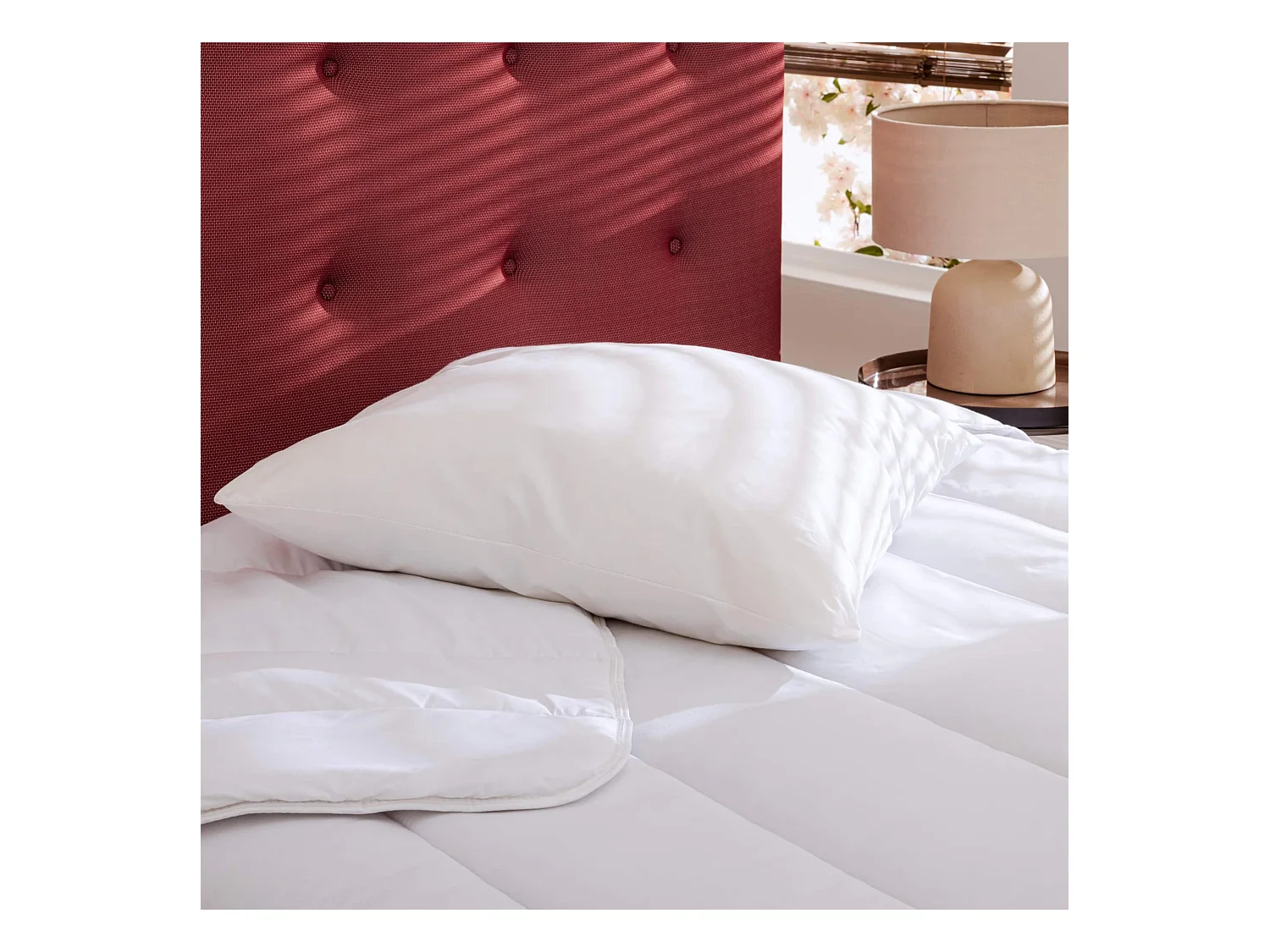 Oreiller éco naturel moelleux enveloppe coton bio Someo 50x70