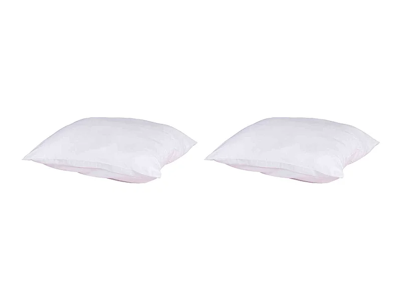 Lot de 2 oreillers anti-punaises et anti-insectes ferme enveloppe microfibre 60x60