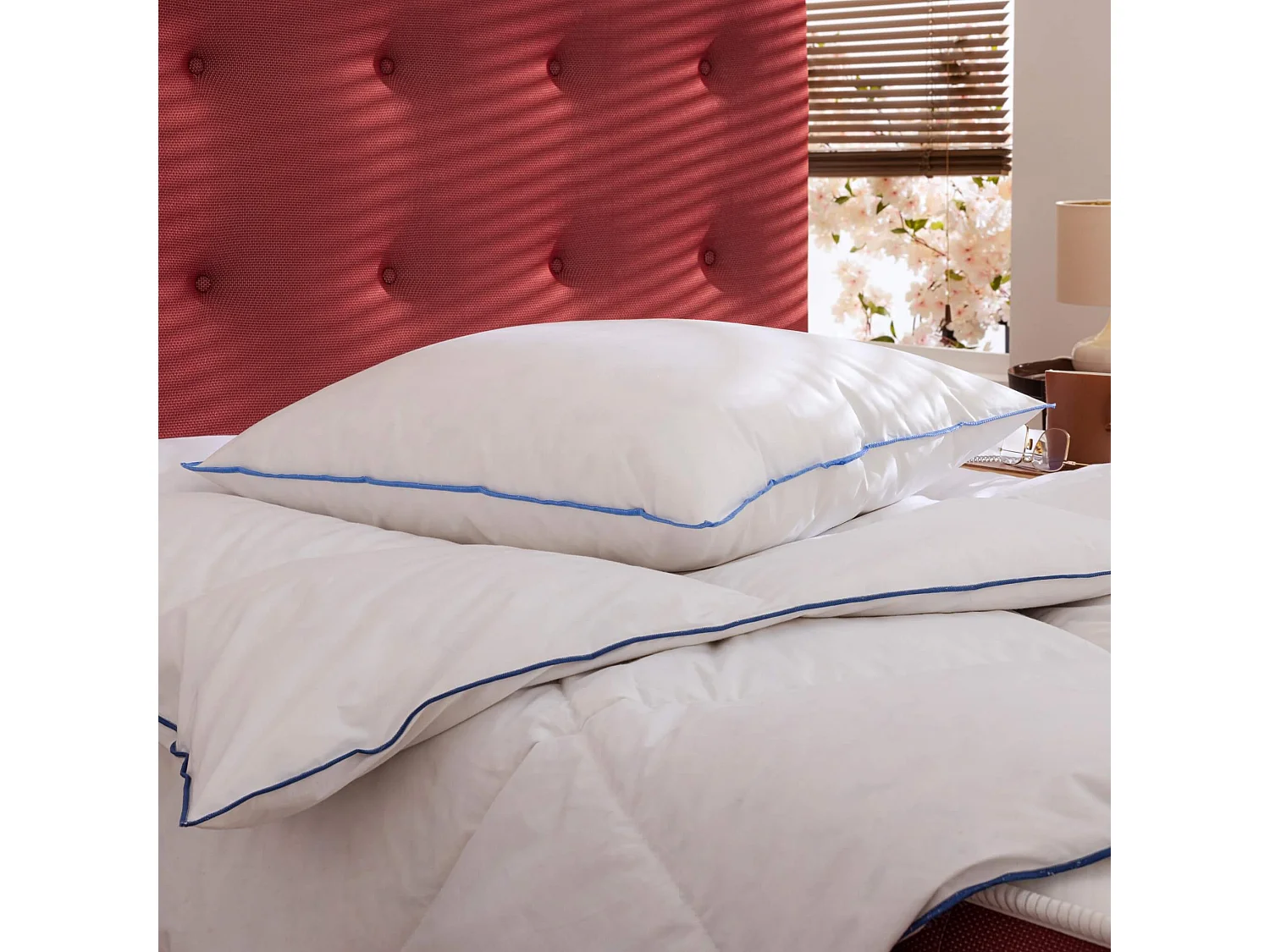 Oreiller moelleux/ferme duvet de canard anti-allergènes Someo 45x70