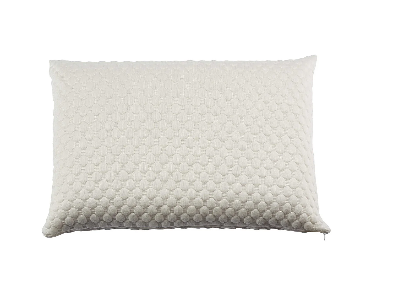 Oreiller latex et housse de protection Someo 40x60