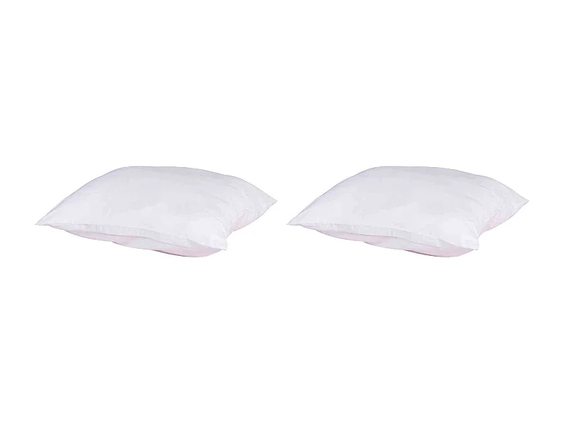 Lot de 2 oreillers anti-punaises et anti-insectes moelleux enveloppe microfibre 65x65