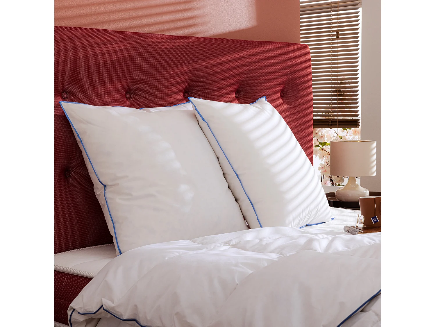 Lot de 2 oreillers moelleux duvet de canard anti-allergènes Someo 65x65