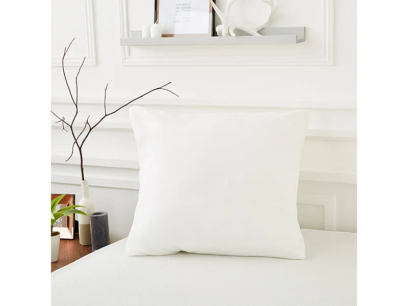 Lot de 2 protège oreillers anti-acariens et anti-punaises sans traitement 65x65