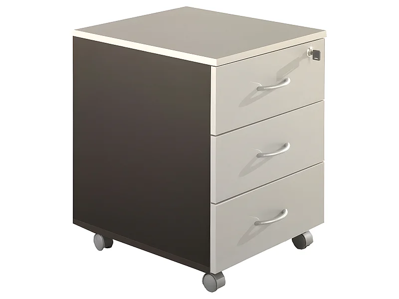 Caisson de Bureau 3 Tiroirs Gris et Anthracite Roulettes L 41 H 56 P 50 cm