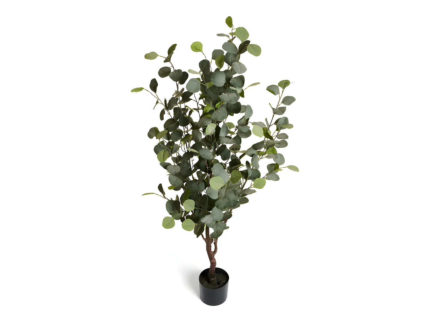 Kunstpflanze mit Topf - H. 150 cm - Eukalyptus