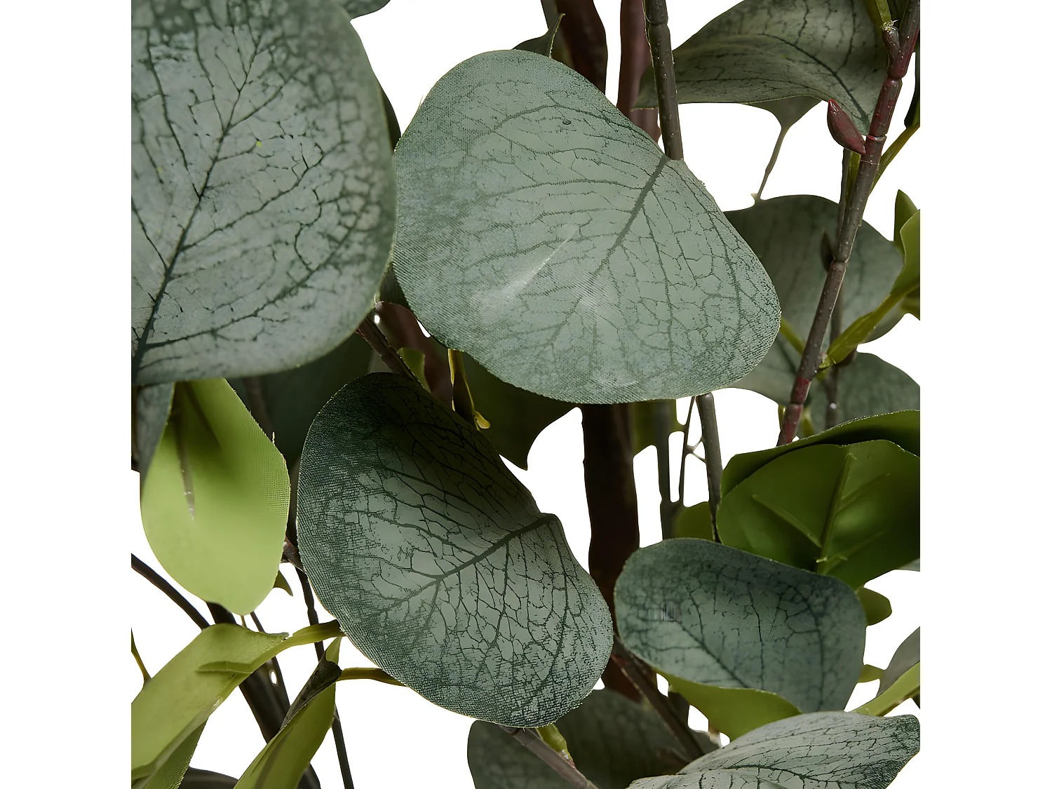 Kunstpflanze mit Topf - H. 150 cm - Eukalyptus