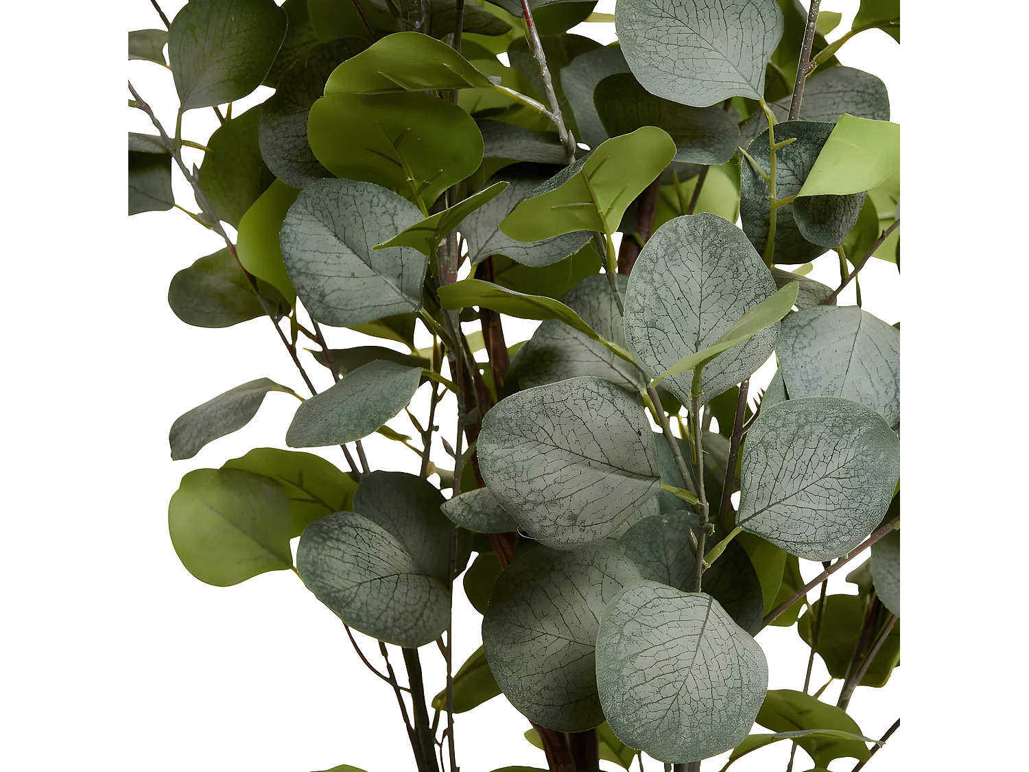 Kunstpflanze mit Topf - H. 150 cm - Eukalyptus