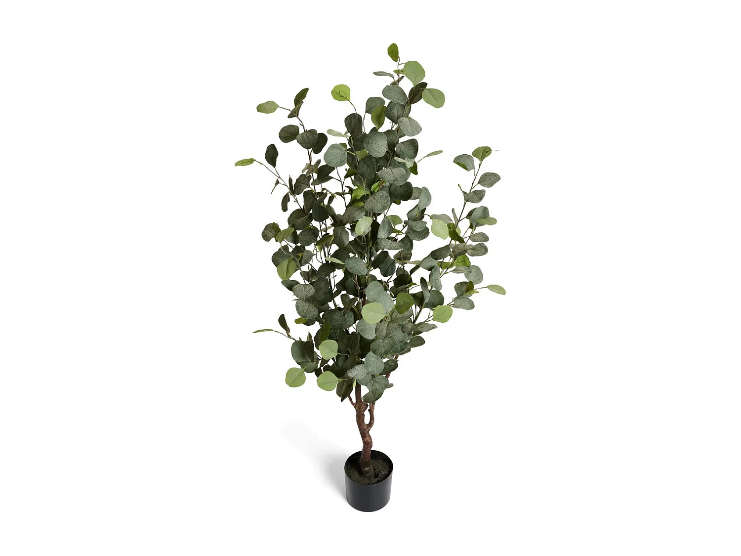 Kunstpflanze mit Topf - H. 150 cm - Eukalyptus