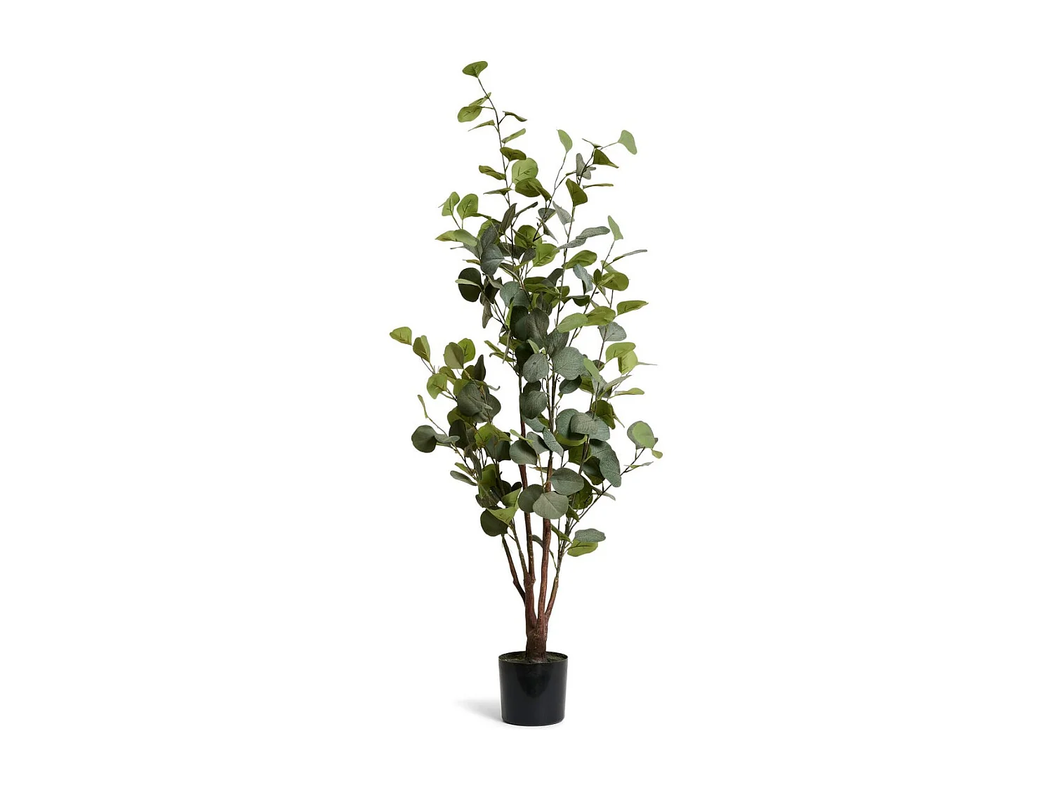 Kunstpflanze mit Topf - H. 120 cm - Eukalyptus