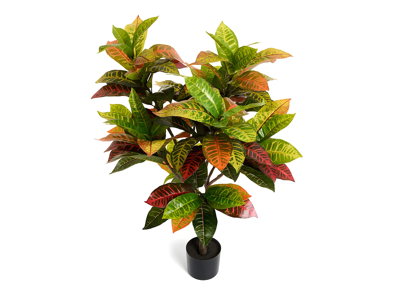 Kunstpflanze mit Topf - H. 75 cm - Kroton