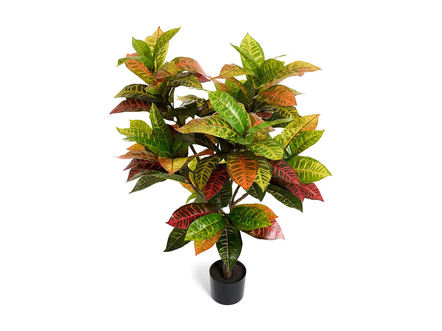 Kunstpflanze mit Topf - H. 75 cm - Kroton