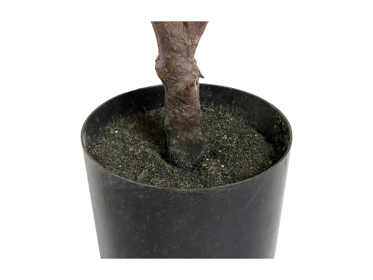 Kunstpflanze mit Topf - H. 75 cm - Kroton