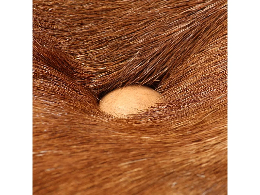 Bancos de bar 2 pcs mangueira áspera/couro genuíno castanho