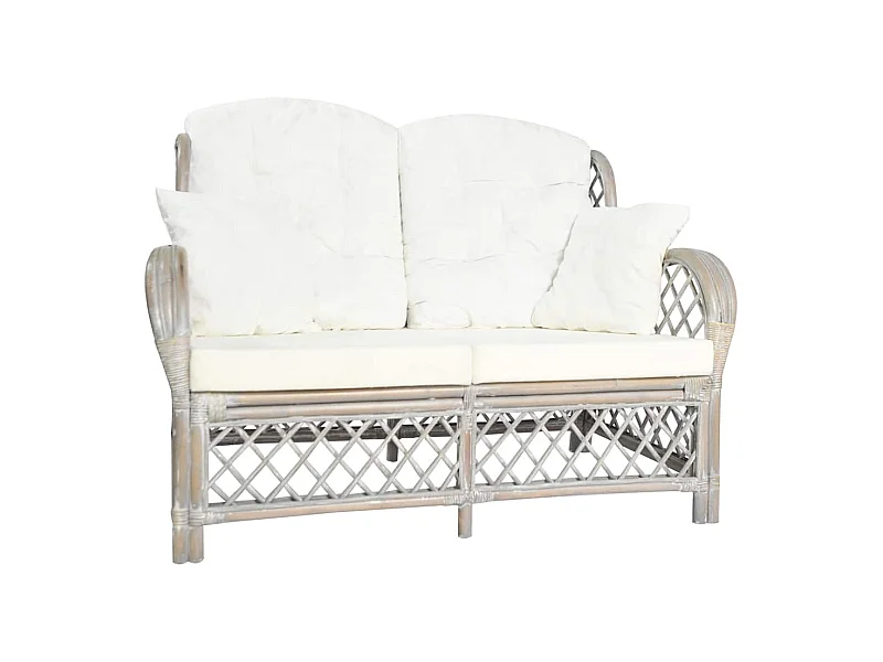 Canapé à 2 places Gris Rotin