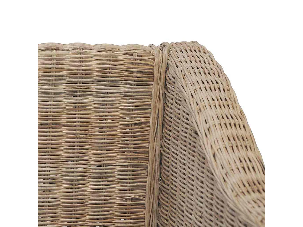 Divano a 2 Posti con Cuscini in Rattan Naturale