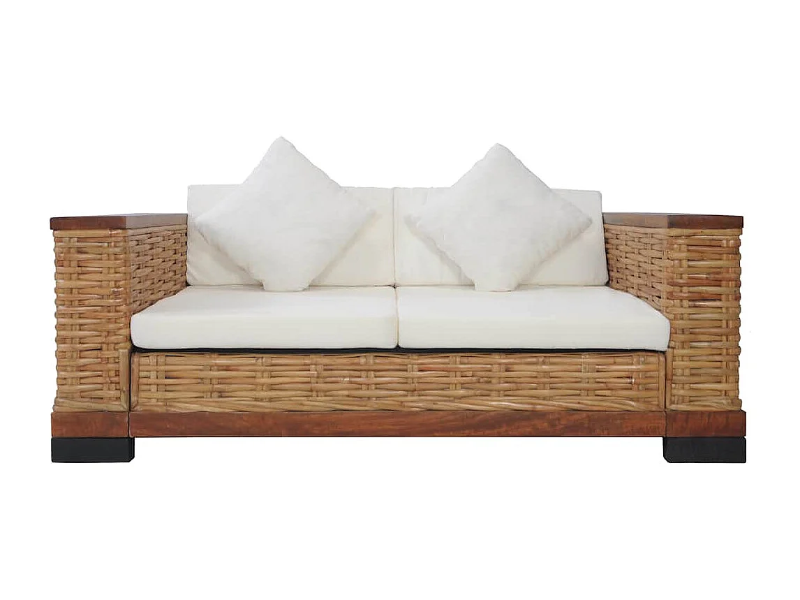 Canapé à 2 places avec coussins Marron Rotin naturel