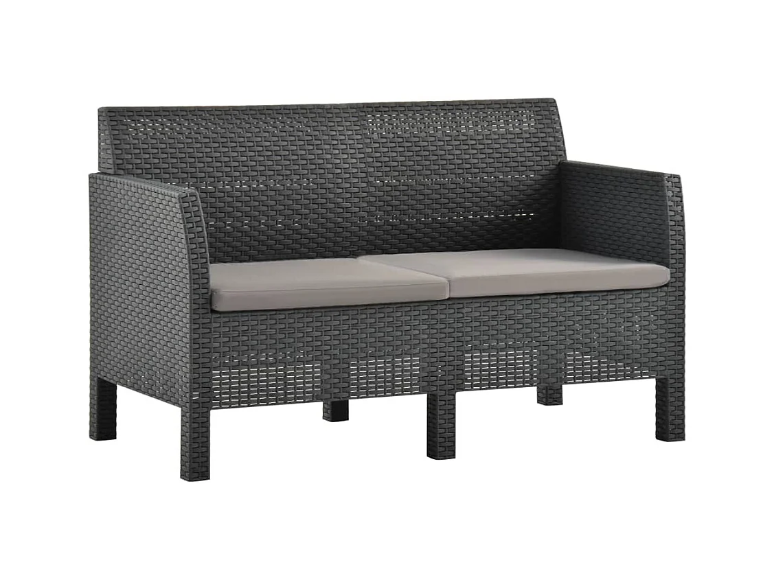 Canapé à 2 places de jardin avec coussins Anthracite PP Rotin