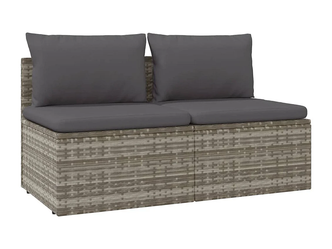 Canapé de jardin 2 places avec coussins Gris Résine tressée