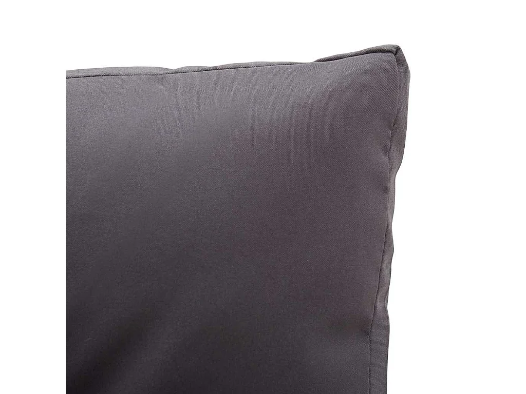 Canapé 2 places de jardin et coussins Gris 124cm Résine tressée