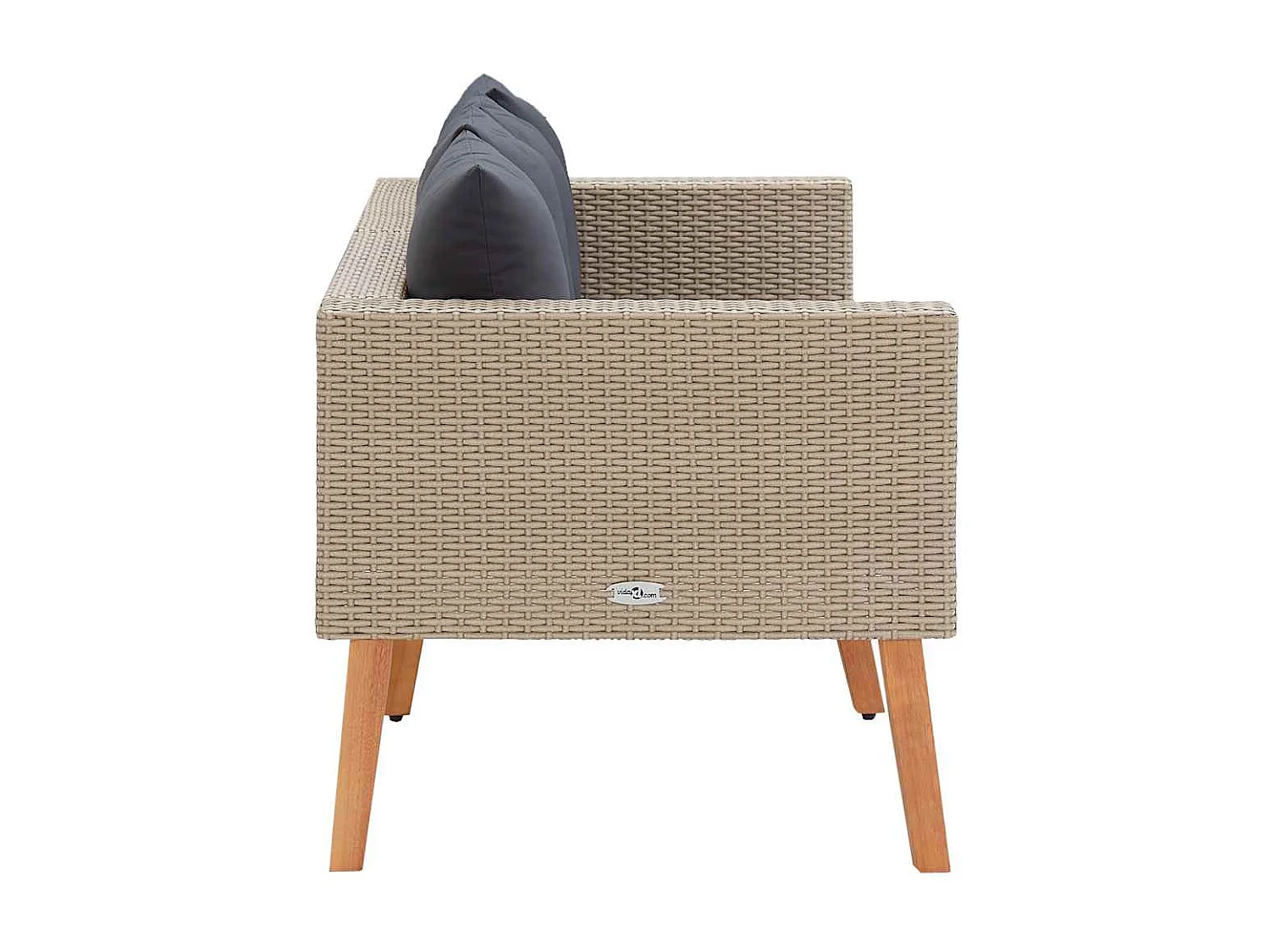 Canapé de jardin à 2 places avec coussins Résine tressée Beige