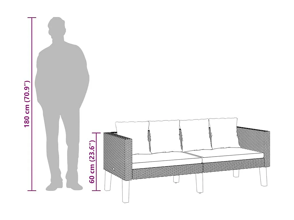 Canapé de jardin à 2 places avec coussins Résine tressée Beige