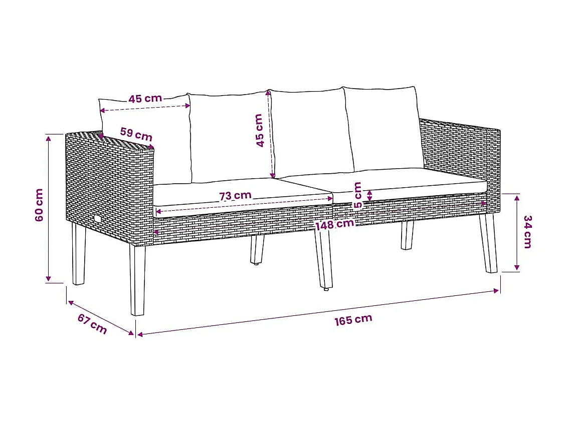 Canapé de jardin à 2 places avec coussins Résine tressée Beige